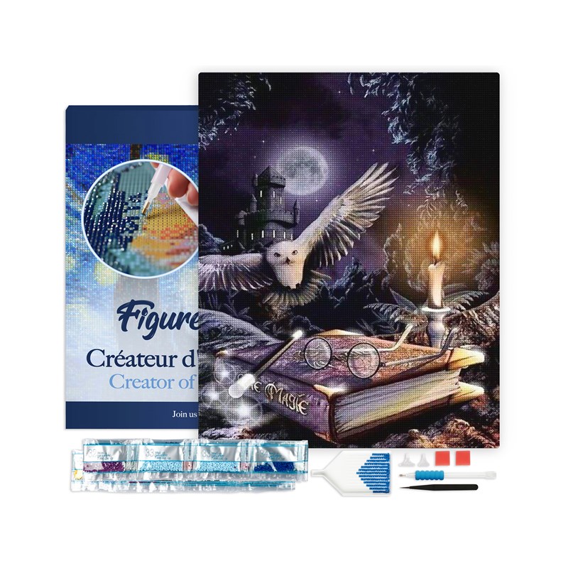 Broderie diamant chouette dans la nuit