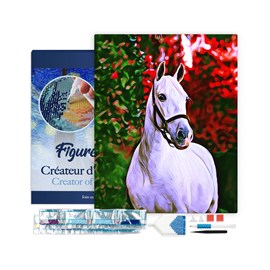 Broderie diamant cheval et fond coloré