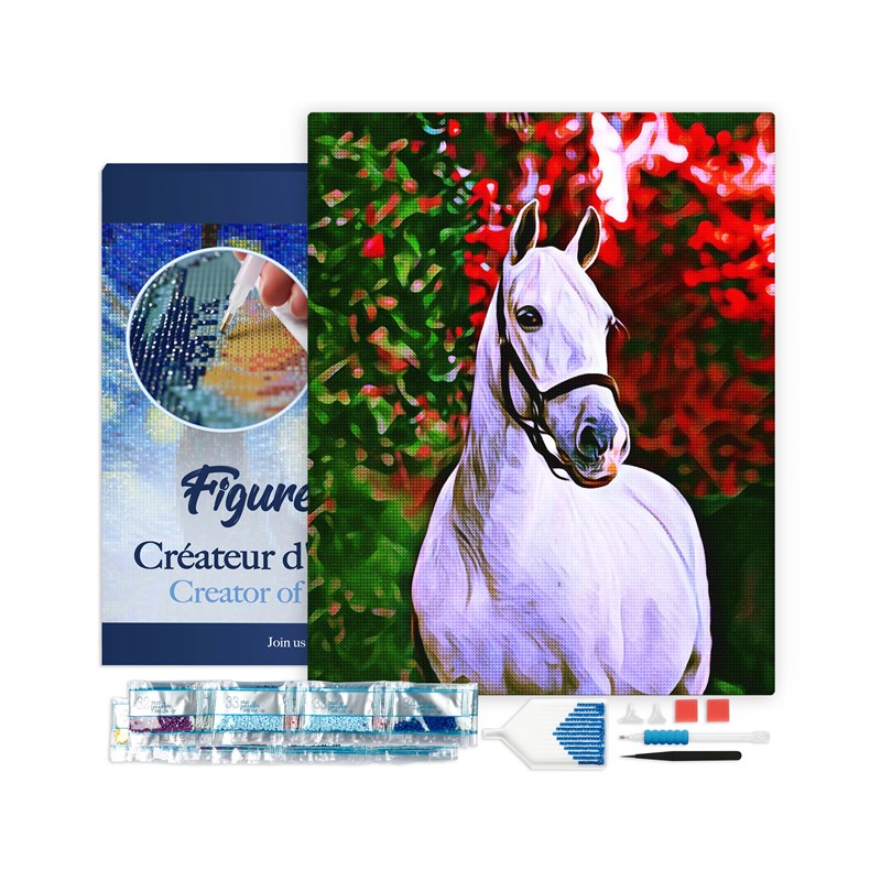 Broderie diamant cheval et fond coloré