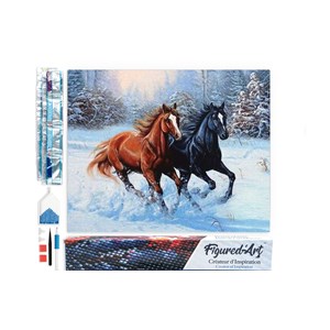 Diamond painting deux chevaux en hiver