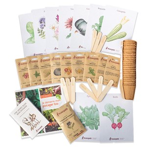 Box de graines bio légumes faciles