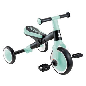 Tricycle learning 2-en-1