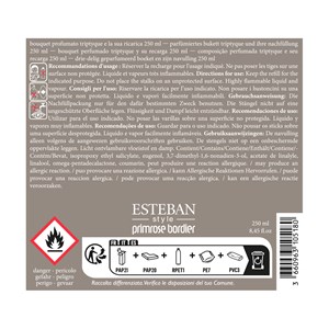 Bouquet parfumé triptyque 250ml