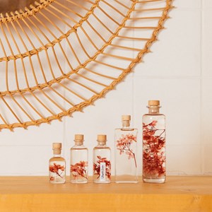 Fleur immergée hortensia peegee h21