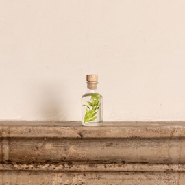 Plante immergée ruscus vert acidulé h10