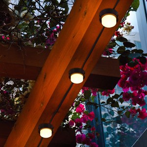 10 mini-spots solaires noir soliray