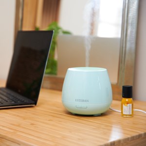 Diffuseur brume de parfum électrique