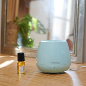 Diffuseur brume de parfum électrique