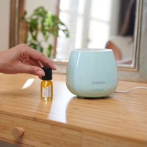 Diffuseur brume de parfum électrique