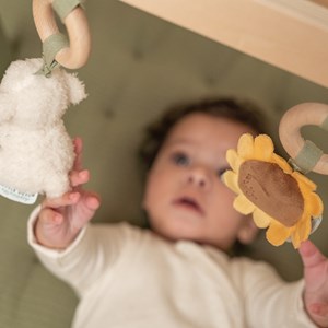 Arche d’éveil en bois little farm