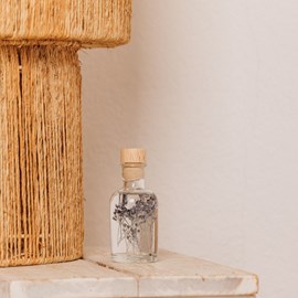 Plante immergée broom bloom bleu h10