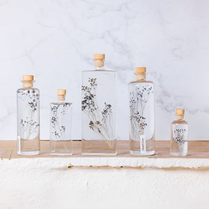 Plante immergée broom bloom bleu h10