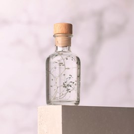 Plante immergée gypsophile bleue h10