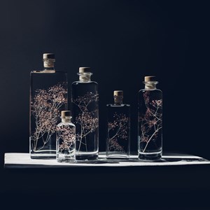 Plante immergée gypsophile poudré h10