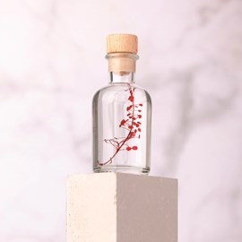 Plante immergée lepidium rouge h10