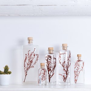 Plante immergée lepidium rouge h10