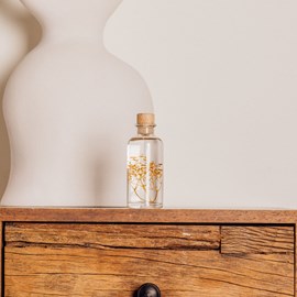 Plante immergée gypsophile safran h12