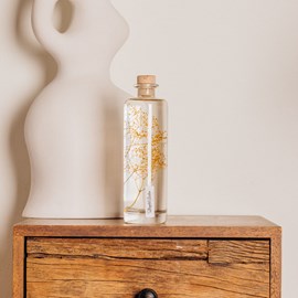 Plante immergée gypsophile safran h23