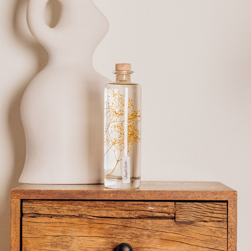 Plante immergée gypsophile safran h23