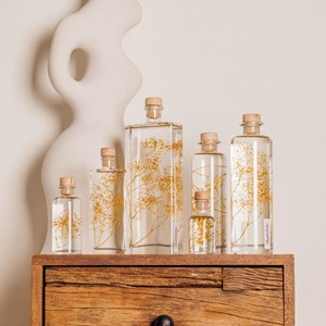 Plante immergée gypsophile safran h23