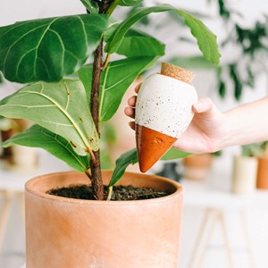 Olla hydratante - jaune moutarde