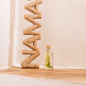 Plante immergée fougère tabalia h12