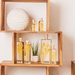 Plante immergée broom jaune h12