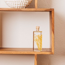 Plante immergée broom jaune h17