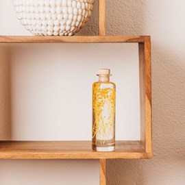 Plante immergée broom jaune h21