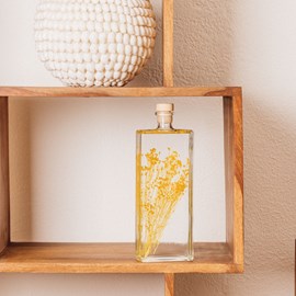 Plante immergée broom jaune h26