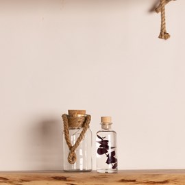 Plante immergée eucalyptus violet h12