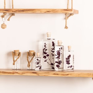 Plante immergée eucalyptus violet h23