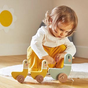 Canards à tirer sweet cocoon