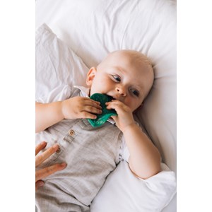 Anneau de dentition feuille de chlorophy