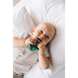 Anneau de dentition feuille de chlorophy