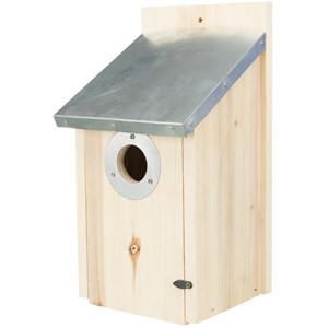 Nichoir pour étourneaux en pin verni