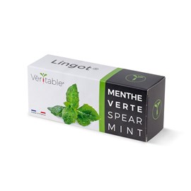 Lingot menthe verte