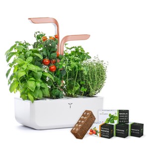 Potager autonome véritable smart wc