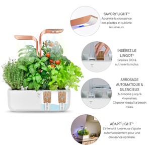 Potager autonome véritable smart wc
