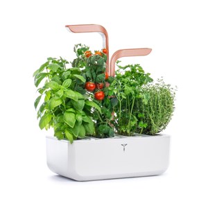 Potager autonome véritable smart wc