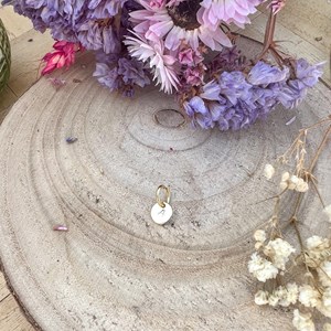 Bola de grossesse maya lune