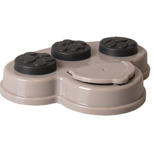 Jeux cache friandise albert brain train