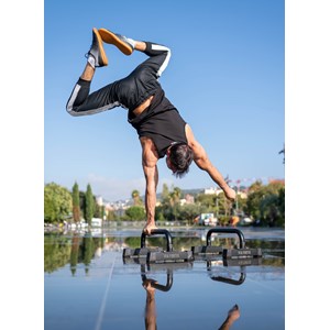 Barres parallettes premium - m