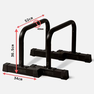 Barres parallettes premium - l