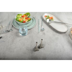 Salière et poivrière tour eiffel