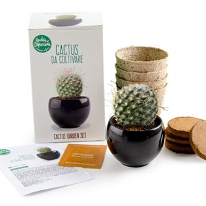 Kit cactus