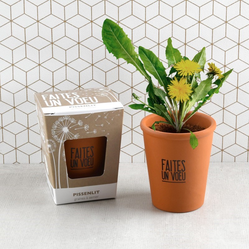 Kit message faites un voeu - pissenlit