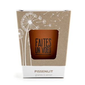 Kit message faites un voeu - pissenlit