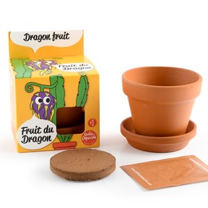 Pot terre cuite - fruit du dragon