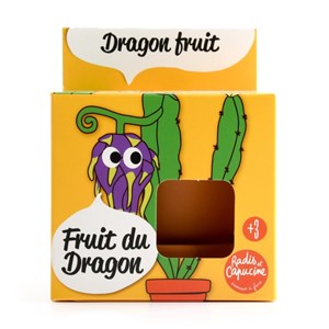 Pot terre cuite - fruit du dragon